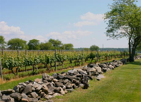 Sakonnet Vineyards